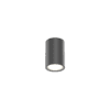 Wever & Ducrè - Tram Outdoor Ceiling Surf 1.0 LED 3000K - Grigio