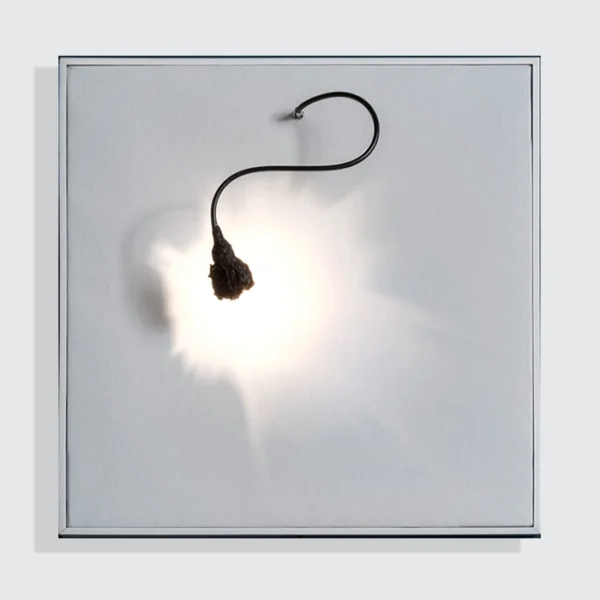 Catellani & Smith LUCE CHE DIPINGE - wall - white canvas, black pipe, black wrap screen