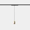 LEDS C4 - Lampada a sospensione Iris Track Hoop 50º - Nero