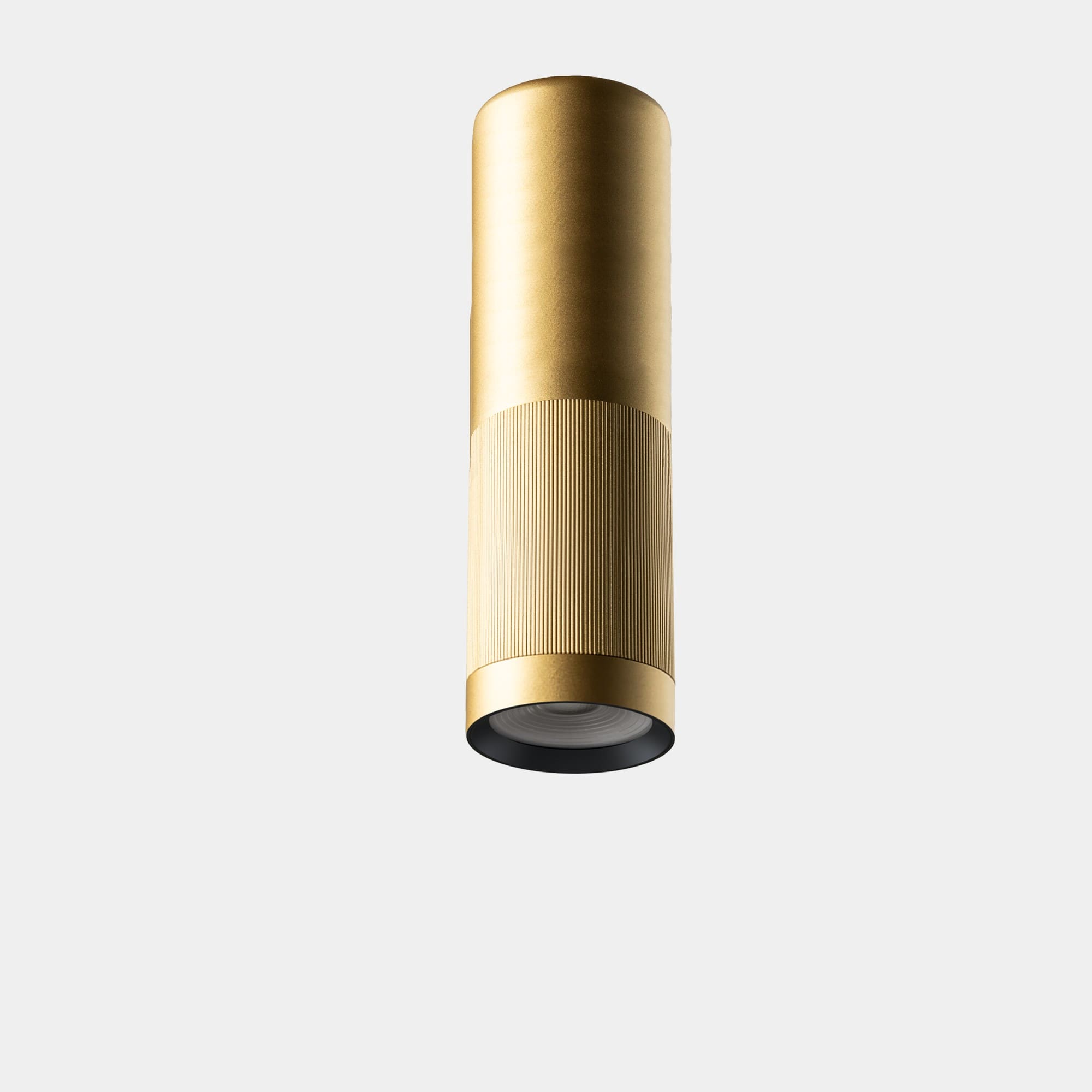 LEDS C4 - Plafoniera Iris Ceiling Surface Big Hoop - Oro